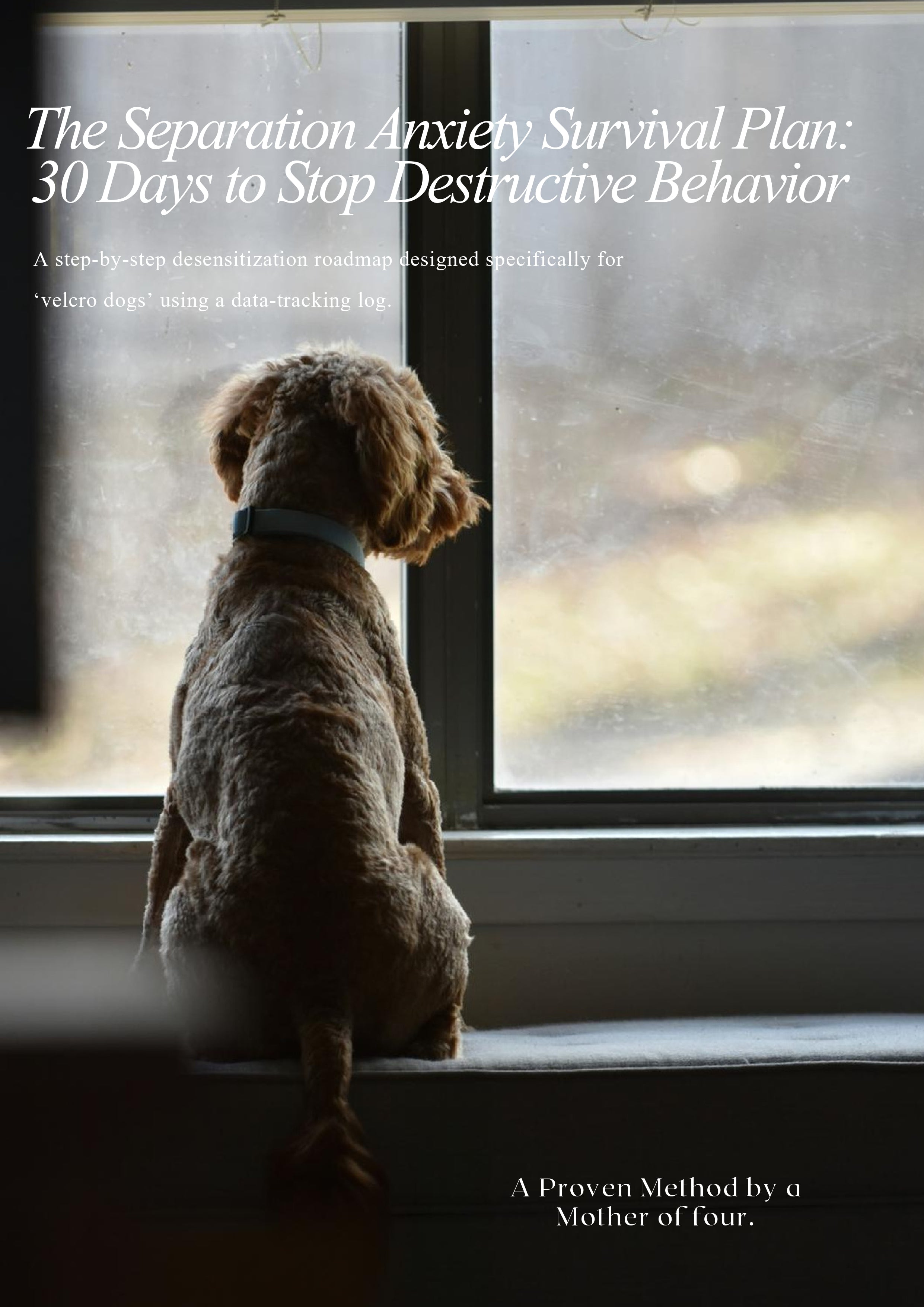 The Calm Goodbye Guide